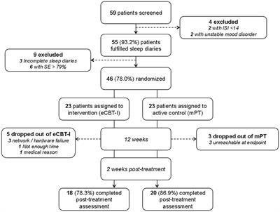 French Language Online Cognitive Behavioral Therapy for Insomnia Disorder: A Randomized Controlled Trial